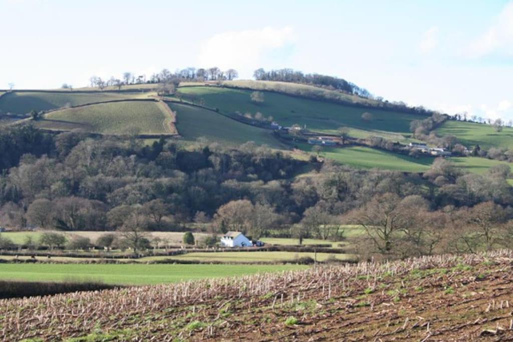 Rural Devon Retreat In Stunning Exe Valley. Exeter Bagian luar foto